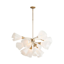 Load image into Gallery viewer, Mobius Multi-Light Pendant Light.