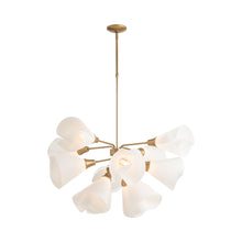 Load image into Gallery viewer, Mobius Multi-Light Pendant Light in Short/Black.