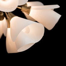 Load image into Gallery viewer, Mobius Multi-Light Pendant Light in Detail.