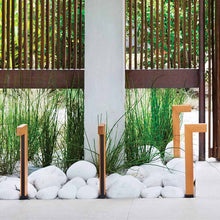 Load image into Gallery viewer, Atlantis LED Path Light in Outside Area.