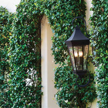 Load image into Gallery viewer, Chapel Hill Outdoor Wall Light in Outside Area.