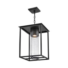 Load image into Gallery viewer, Coen Outdoor Pendant Light in Detail.