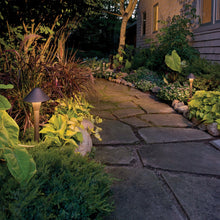Load image into Gallery viewer, Hardy Island Classic Led Path Light in Outside Area.