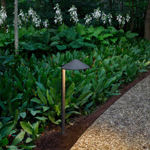 Load image into Gallery viewer, Hardy Island Side Mount Led Path Light in Outside Area.