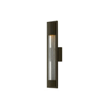 Load image into Gallery viewer, Mist Outside Area Wall Light in Medium/Bronze.