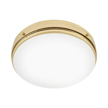 Load image into Gallery viewer, Oliver Flush Mount Ceiling Light in Detail.