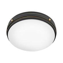 Load image into Gallery viewer, Oliver Flush Mount Ceiling Light in Detail.