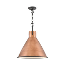 Load image into Gallery viewer, Winnie Pendant Light in Detail.