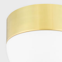Load image into Gallery viewer, Adams Flush Mount Ceiling Light in Detail.
