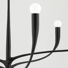 Load image into Gallery viewer, Labra Chandelier in Detail.