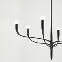 Load image into Gallery viewer, Labra Chandelier in Detail.