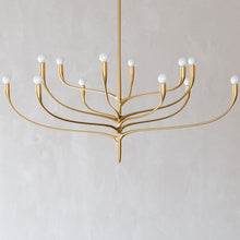 Load image into Gallery viewer, Labra Chandelier in Detail.