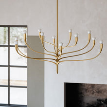 Load image into Gallery viewer, Labra Chandelier in Detail.