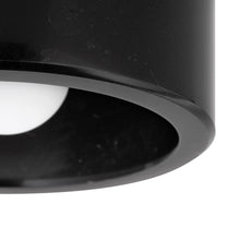 Load image into Gallery viewer, Loris Ceiling / Wall Light in Detail.
