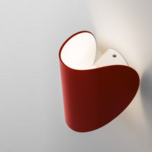 Load image into Gallery viewer, IO Wall Light Detail.