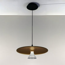 Load image into Gallery viewer, Ipno LED Pendant Light.