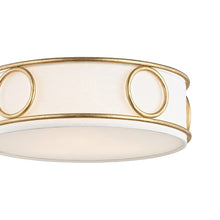 Load image into Gallery viewer, Jade Flush Mount Ceiling Light Detail.