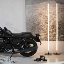 Load image into Gallery viewer, Accipicchio LED Floor Lamp in living room.