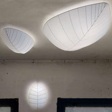Load image into Gallery viewer, Eden LED Wall Light in Detail.
