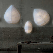 Load image into Gallery viewer, Eden LED Wall Light in exhibition.
