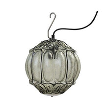 Load image into Gallery viewer, Ginger Outdoor LED Pendant Light in Smoked Glass/With Hook (10.24-Inch).