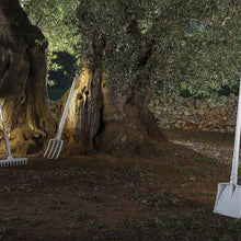 Load image into Gallery viewer, Tobia LED Floor Lamp in outside area.