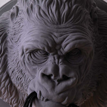 Load image into Gallery viewer, Ugo Rilla LED Wall Light in Detail.