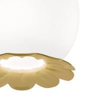 Load image into Gallery viewer, Opyo Pendant Light in Detail.