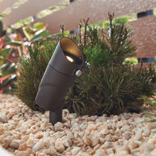 Load image into Gallery viewer, Accent Adjustable LED Landscape Light in Outdoor Area.