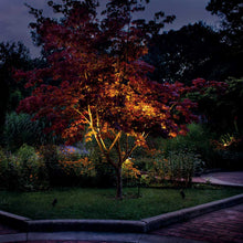 Load image into Gallery viewer, Accent Adjustable LED Landscape Light in Outdoor Area.