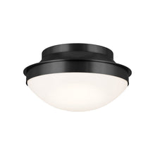 Load image into Gallery viewer, Bretta Flush Mount Ceiling Light in Black (2-Light).