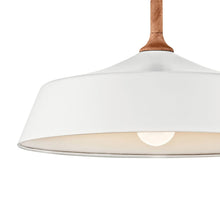 Load image into Gallery viewer, Danika Pendant Light in Detail.