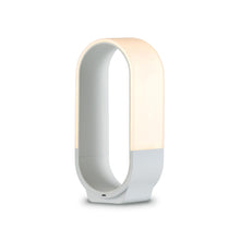 Load image into Gallery viewer, Mr. GO! Outdoor LED Lantern in Soft White.