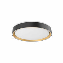 Load image into Gallery viewer, Essex LED Flush Mount Ceiling Light in Black/Gold (Small).