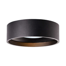 Load image into Gallery viewer, Trenton Outdoor LED Flush Mount Ceiling Light in Frosted Glass/Black.