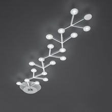 Load image into Gallery viewer, LED Net Line Ceiling Light in Large.