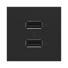 Load image into Gallery viewer, adorne® Full-Size, A/A USB Outlet in Graphite.