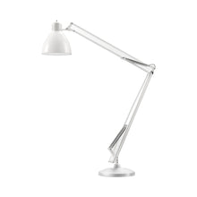 Load image into Gallery viewer, JJ Big LED Floor Lamp.
