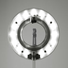 Load image into Gallery viewer, Link LED Table Lamp Detail.