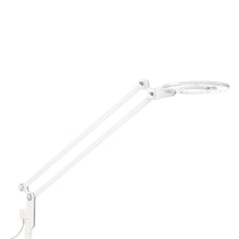 Load image into Gallery viewer, Link LED Wall Lamp in White/Small.