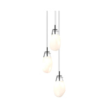 Load image into Gallery viewer, Liquid LED Multi Light Pendant Light in Clear & White/Large.