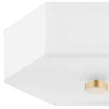 Load image into Gallery viewer, Lizzie LED Flush Mount Ceiling Light Detail.