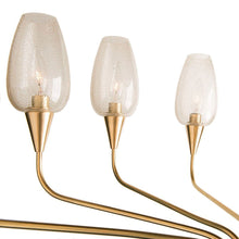Load image into Gallery viewer, Longmont Chandelier in Detail.