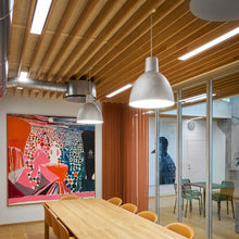 Load image into Gallery viewer, Toldbod Pendant Light in Office.