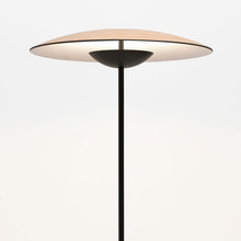 Load image into Gallery viewer, Ginger P LED Floor Lamp in Detail.