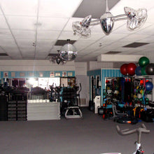 Load image into Gallery viewer, Ar Ruthiane Ceiling Fan in gym room.
