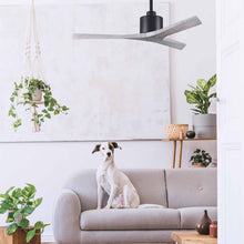 Load image into Gallery viewer, Mollywood Indoor / Outdoor Ceiling Fan in living room.