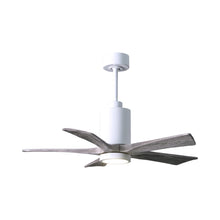 Load image into Gallery viewer, Patricia 5 Indoor / Outdoor LED Ceiling Fan in Gloss White/Barnwood (42-Inch).