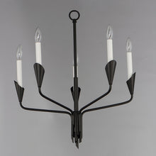 Load image into Gallery viewer, Calyx Chandelier in Detail.