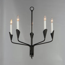 Load image into Gallery viewer, Calyx Chandelier in Detail.